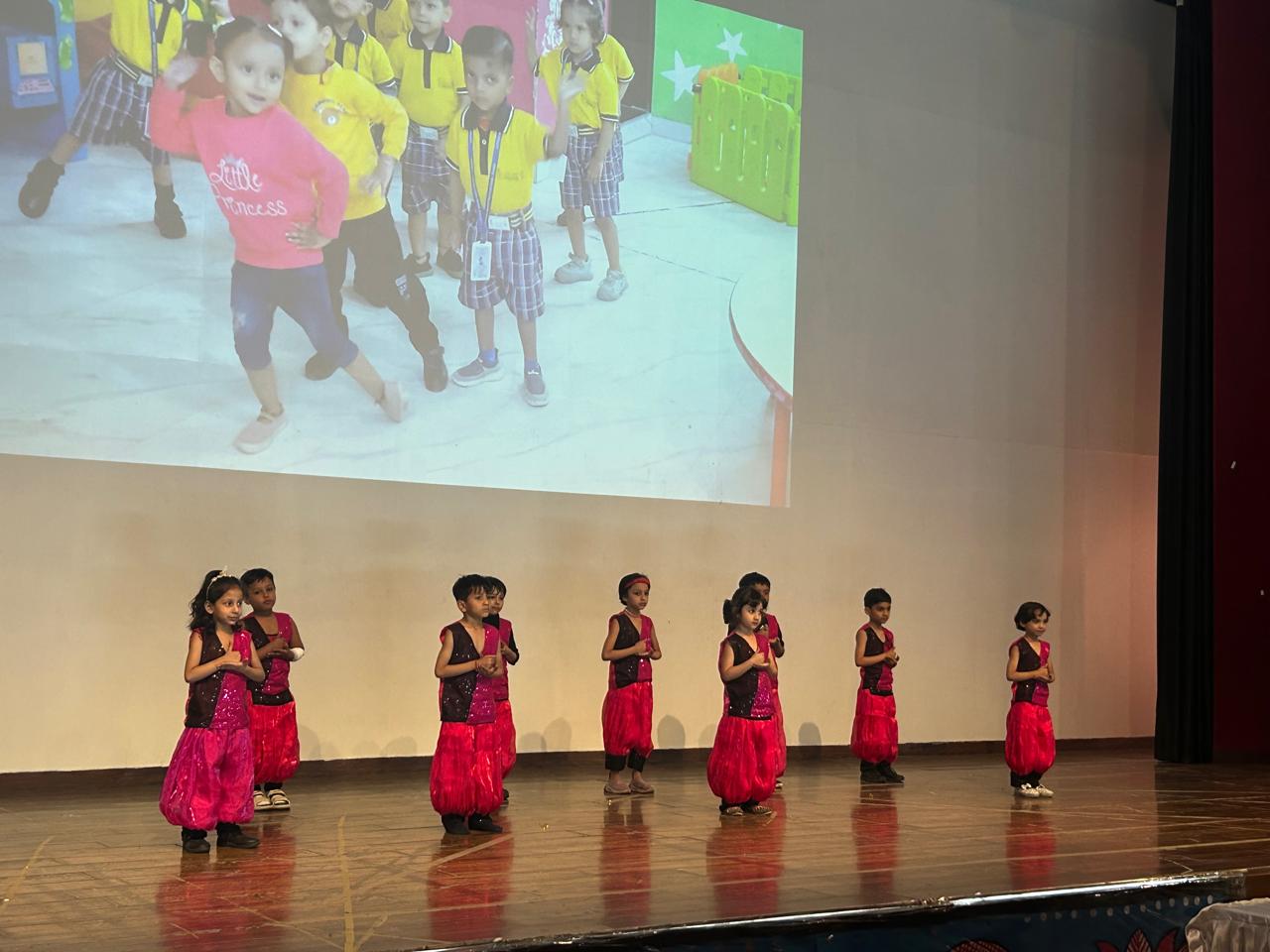 School Annual Function